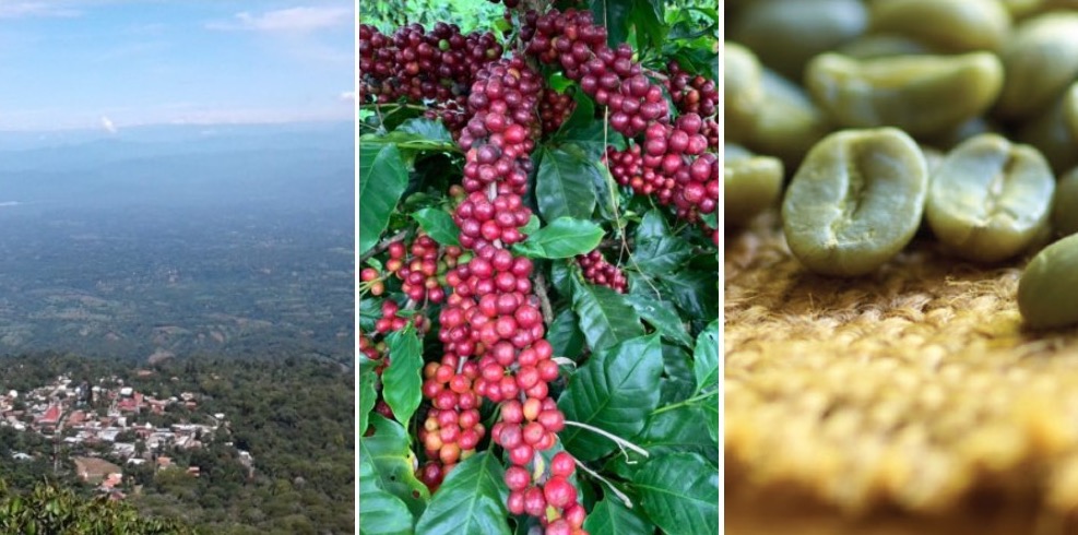 Coffee Blue Mountain Blend