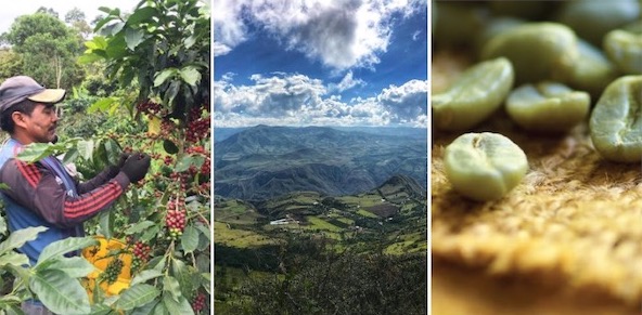 Coffee Colombia coffee sacks